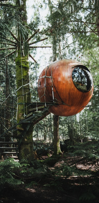 Treehouse sample photo